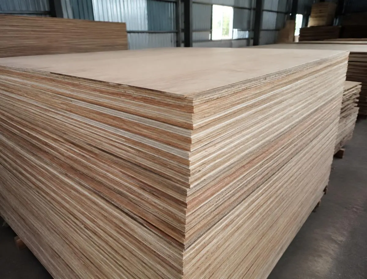 Commercial Plywood (MR Ply) — sorted stock in a timber yard